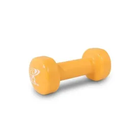 Bodyworx Vinyl Dipped Dumbbell 2.5kg