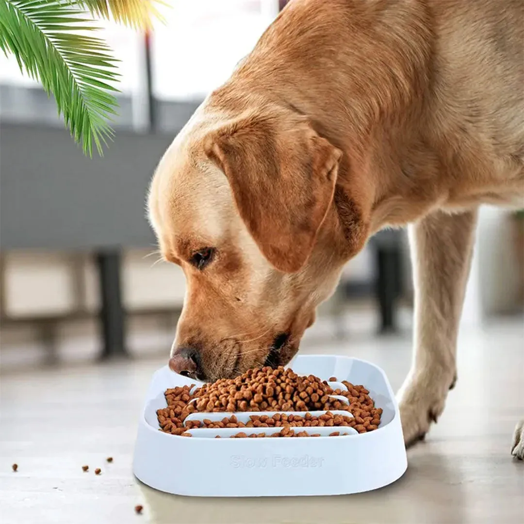 PetAffairs Eco-Friendly Anti-Slip Slow Feeder Pet Bowl