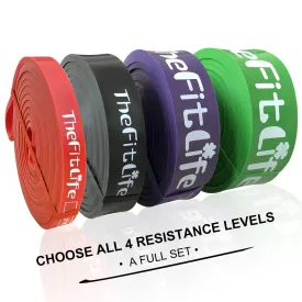 TheFitLife Resistance Pull Up Bands - Pull-Up Assist Exercise Bands, Long Workout Loop Bands for Body Stretching, Powerlifting, Fitness Training, Bonus Carrying Bag and Workout Guide